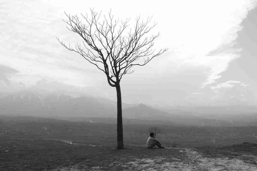 海口美兰机场免税店官网商城?海口美兰机场免税店怎么逛有哪些值得买的东西